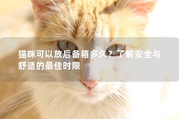猫咪可以放后备箱多久？了解安全与舒适的最佳时限