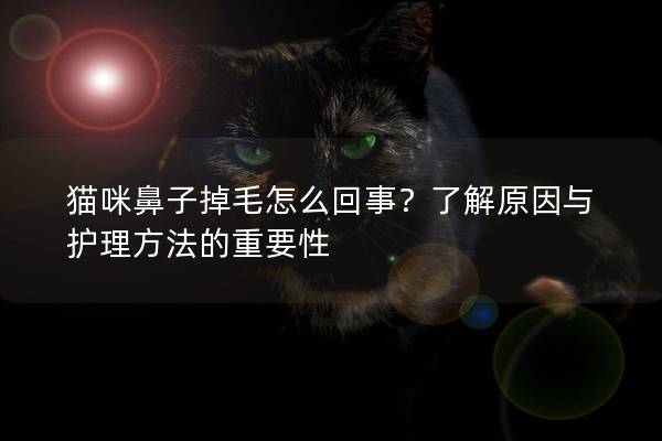 猫咪鼻子掉毛怎么回事？了解原因与护理方法的重要性
