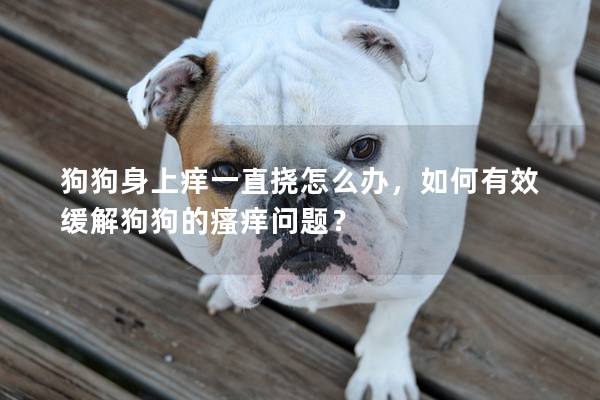 狗狗身上痒一直挠怎么办，如何有效缓解狗狗的瘙痒问题？