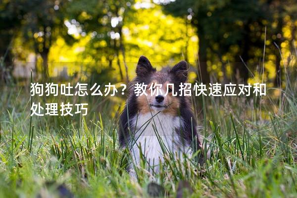 狗狗吐怎么办？教你几招快速应对和处理技巧