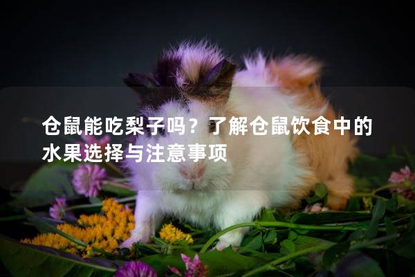 仓鼠能吃梨子吗？了解仓鼠饮食中的水果选择与注意事项