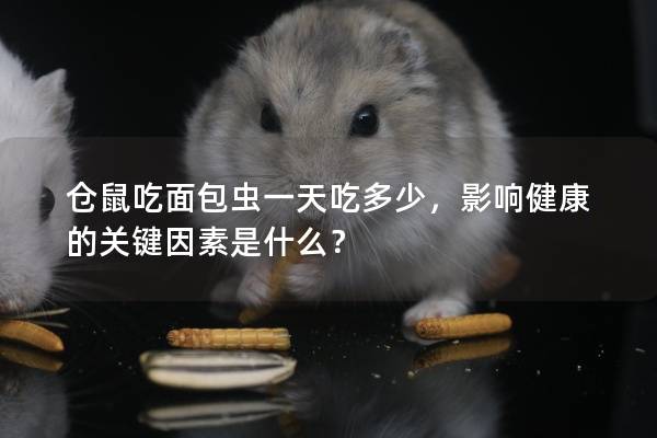 仓鼠吃面包虫一天吃多少，影响健康的关键因素是什么？