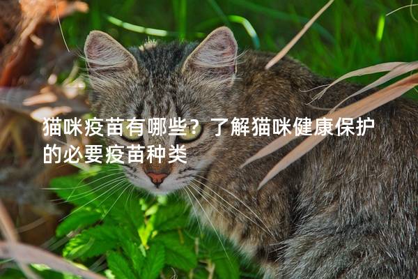 猫咪疫苗有哪些？了解猫咪健康保护的必要疫苗种类