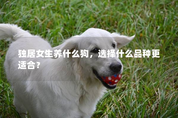 独居女生养什么狗,选择什么品种更适合? 独居女生养什么狗,选择什么品种更适合?