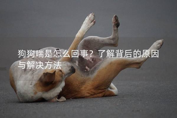 狗狗喘是怎么回事？了解背后的原因与解决方法
