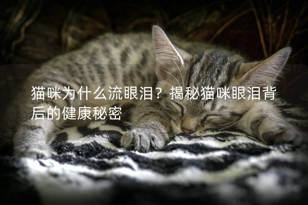猫咪为什么流眼泪？揭秘猫咪眼泪背后的健康秘密
