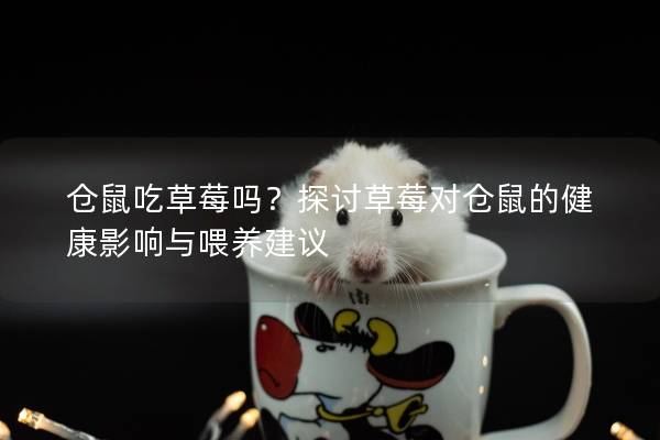 仓鼠吃草莓吗?探讨草莓对仓鼠的健康影响与喂养建议 仓鼠吃草莓吗?探讨草莓对仓鼠的健康影响与喂养建议