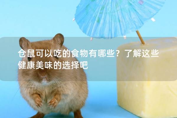 仓鼠可以吃的食物有哪些?了解这些健康美味的选择吧 仓鼠可以吃的食物有哪些?了解这些健康美味的选择吧
