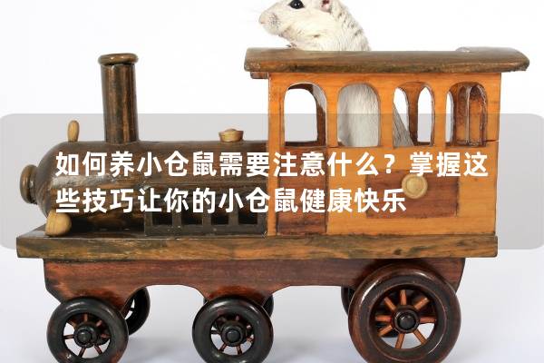 如何养小仓鼠需要注意什么？掌握这些技巧让你的小仓鼠健康快乐