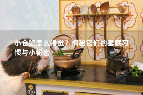 小仓鼠怎么睡觉？揭秘它们的睡眠习惯与小秘密