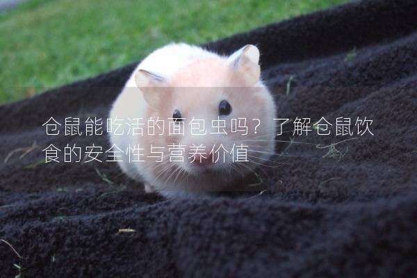 仓鼠能吃活的面包虫吗?了解仓鼠饮食的安全性与营养价值 仓鼠能吃活的面包虫吗?了解仓鼠饮食的安全性与营养价值