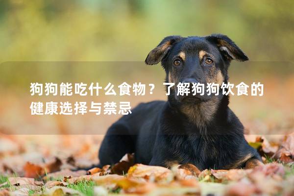 狗狗能吃什么食物？了解狗狗饮食的健康选择与禁忌