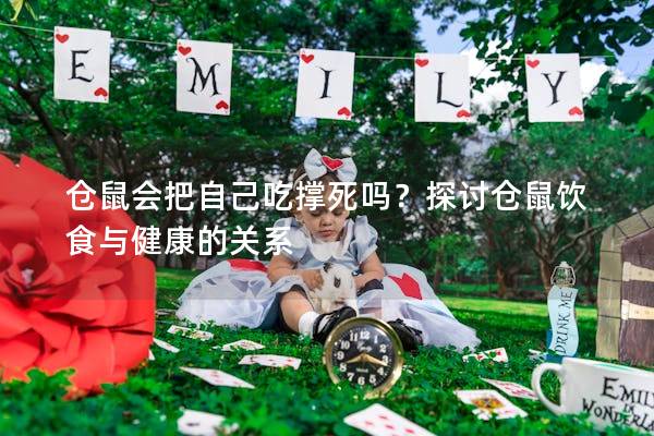 仓鼠会把自己吃撑死吗？探讨仓鼠饮食与健康的关系