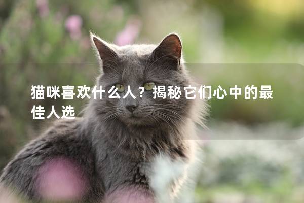 猫咪喜欢什么人？揭秘它们心中的最佳人选