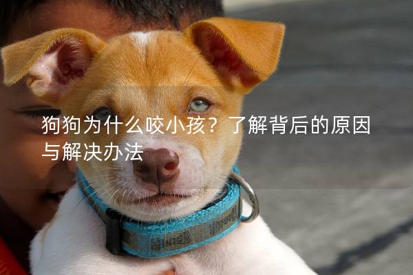 狗狗为什么咬小孩？了解背后的原因与解决办法