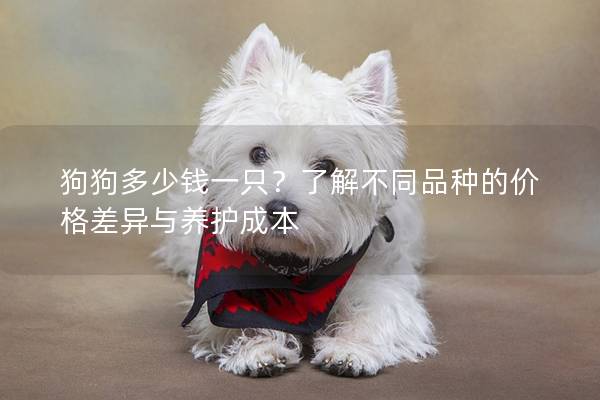 狗狗多少钱一只?了解不同品种的价格差异与养护成本 狗狗多少钱一只?了解不同品种的价格差异与养护成本