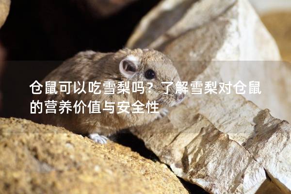 仓鼠可以吃雪梨吗？了解雪梨对仓鼠的营养价值与安全性