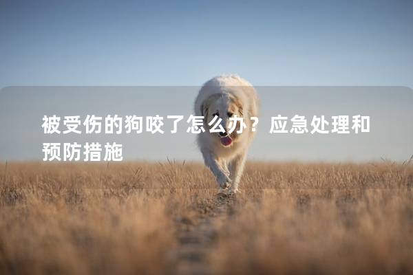 被受伤的狗咬了怎么办？应急处理和预防措施