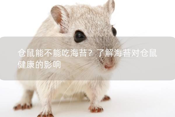 仓鼠能不能吃海苔？了解海苔对仓鼠健康的影响