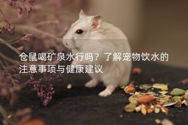 仓鼠喝矿泉水行吗？了解宠物饮水的注意事项与健康建议