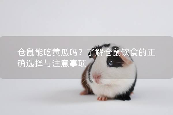 仓鼠能吃黄瓜吗？了解仓鼠饮食的正确选择与注意事项