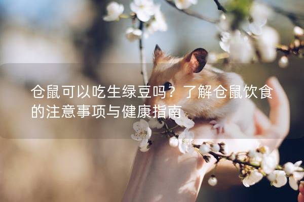 仓鼠可以吃生绿豆吗？了解仓鼠饮食的注意事项与健康指南