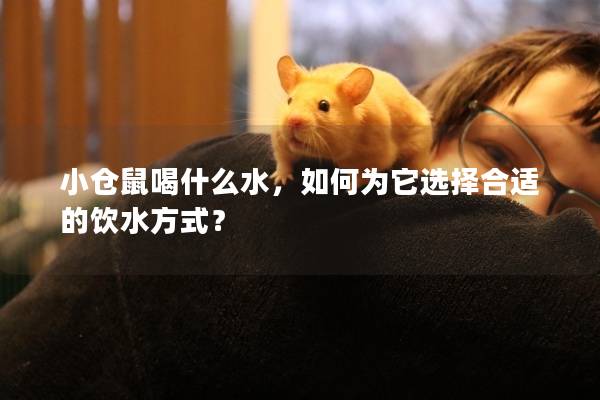 小仓鼠喝什么水，如何为它选择合适的饮水方式？