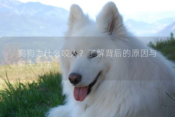 狗狗为什么咬人？了解背后的原因与解决方法