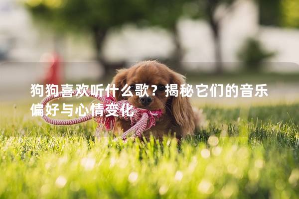 狗狗喜欢听什么歌？揭秘它们的音乐偏好与心情变化