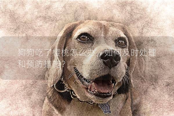 狗狗吃了樱桃怎么办，如何及时处理和预防措施？