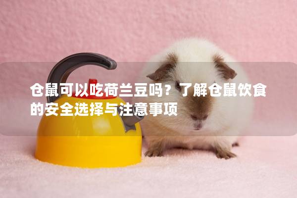 仓鼠可以吃荷兰豆吗？了解仓鼠饮食的安全选择与注意事项