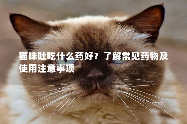 猫咪吐吃什么药好？了解常见药物及使用注意事项