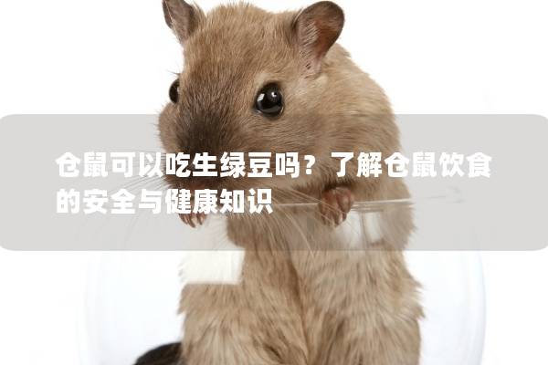 仓鼠可以吃生绿豆吗？了解仓鼠饮食的安全与健康知识