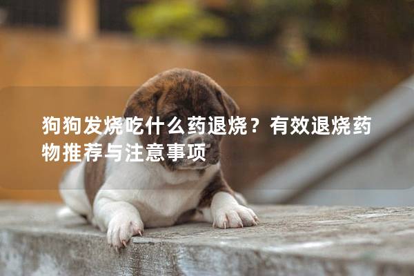 狗狗发烧吃什么药退烧？有效退烧药物推荐与注意事项