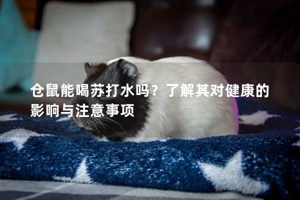 仓鼠能喝苏打水吗？了解其对健康的影响与注意事项
