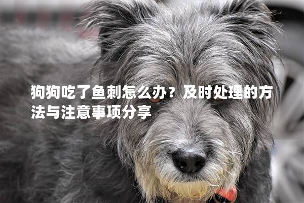 狗狗吃了鱼刺怎么办？及时处理的方法与注意事项分享