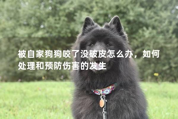 被自家狗狗咬了没破皮怎么办，如何处理和预防伤害的发生