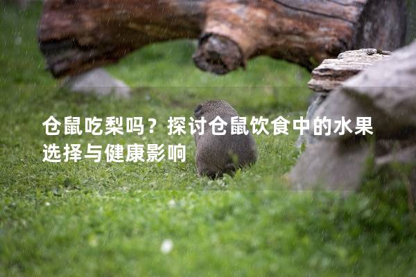 仓鼠吃梨吗？探讨仓鼠饮食中的水果选择与健康影响