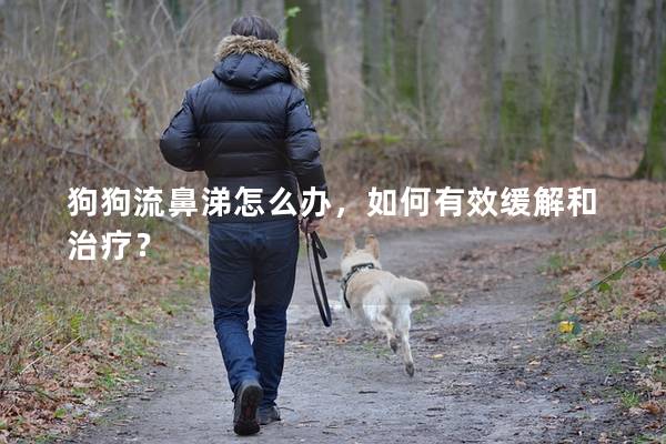狗狗流鼻涕怎么办，如何有效缓解和治疗？