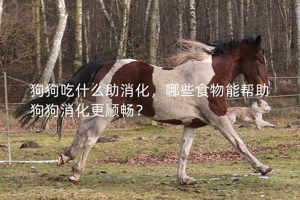狗狗吃什么助消化，哪些食物能帮助狗狗消化更顺畅？