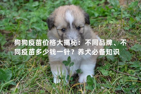 狗狗疫苗价格大揭秘:不同品牌、不同疫苗多少钱一针?养犬必备知识 狗狗疫苗价格大揭秘:不同品牌、不同疫苗多少钱一针?养犬必备知识