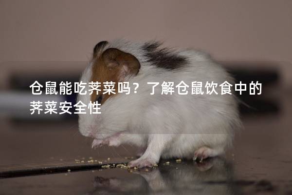 仓鼠能吃荠菜吗？了解仓鼠饮食中的荠菜安全性