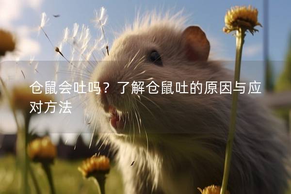 仓鼠会吐吗？了解仓鼠吐的原因与应对方法