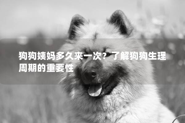 狗狗姨妈多久来一次？了解狗狗生理周期的重要性