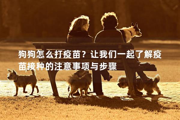 狗狗怎么打疫苗?让我们一起了解疫苗接种的注意事项与步骤 狗狗怎么打疫苗?让我们一起了解疫苗接种的注意事项与步骤