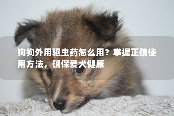 狗狗外用驱虫药怎么用？掌握正确使用方法，确保爱犬健康