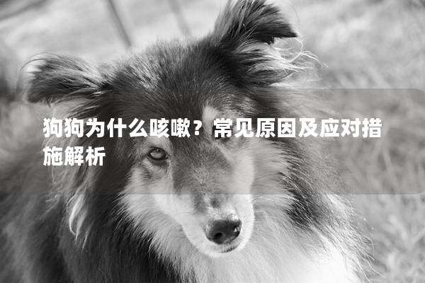 狗狗为什么咳嗽?常见原因及应对措施解析 狗狗为什么咳嗽?常见原因及应对措施解析