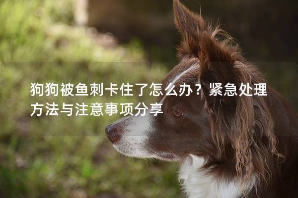 狗狗被鱼刺卡住了怎么办?紧急处理方法与注意事项分享 狗狗被鱼刺卡住了怎么办?紧急处理方法与注意事项分享