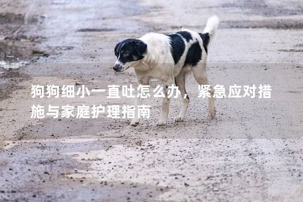 狗狗细小一直吐怎么办，紧急应对措施与家庭护理指南