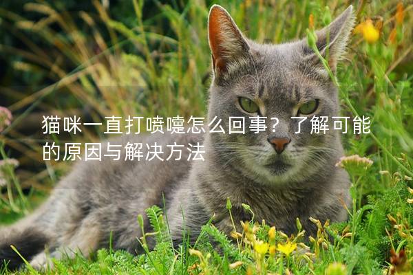 猫咪一直打喷嚏怎么回事？了解可能的原因与解决方法